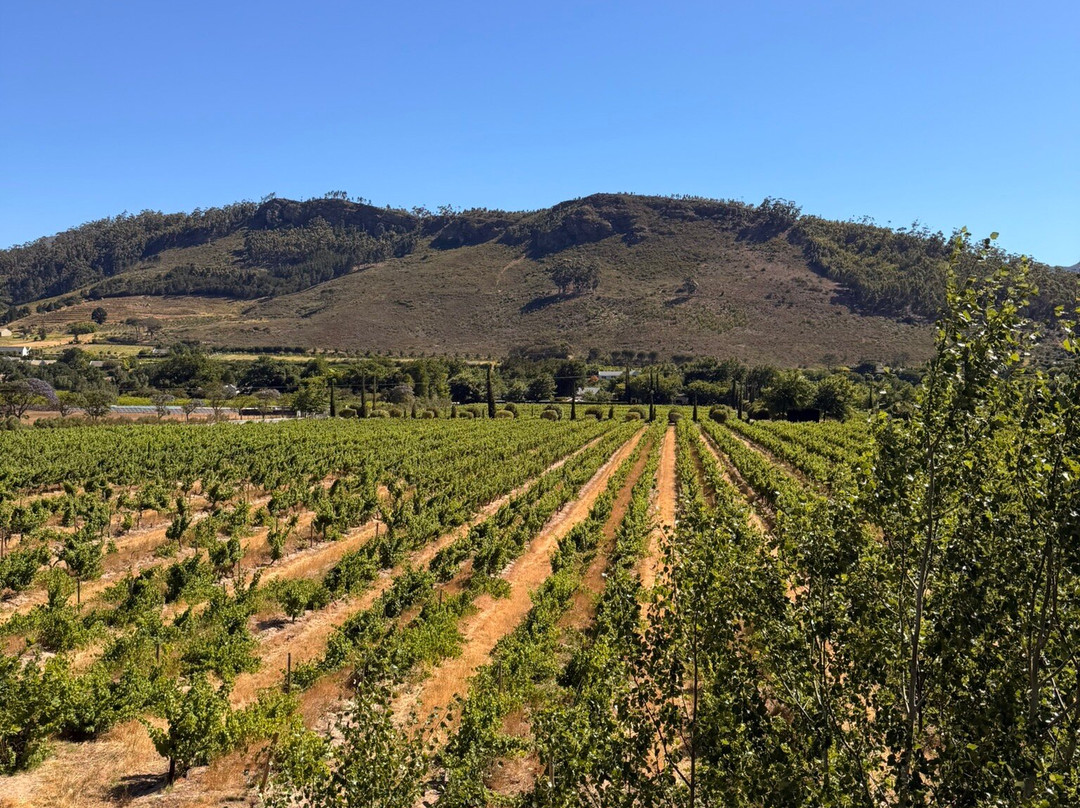 Franschhoek Wine Tram-法兰舒克必去景点