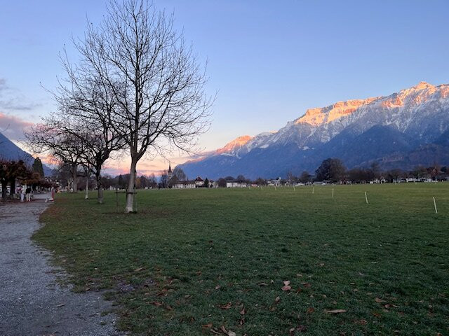 Hohematte Park-因特拉肯必去景点