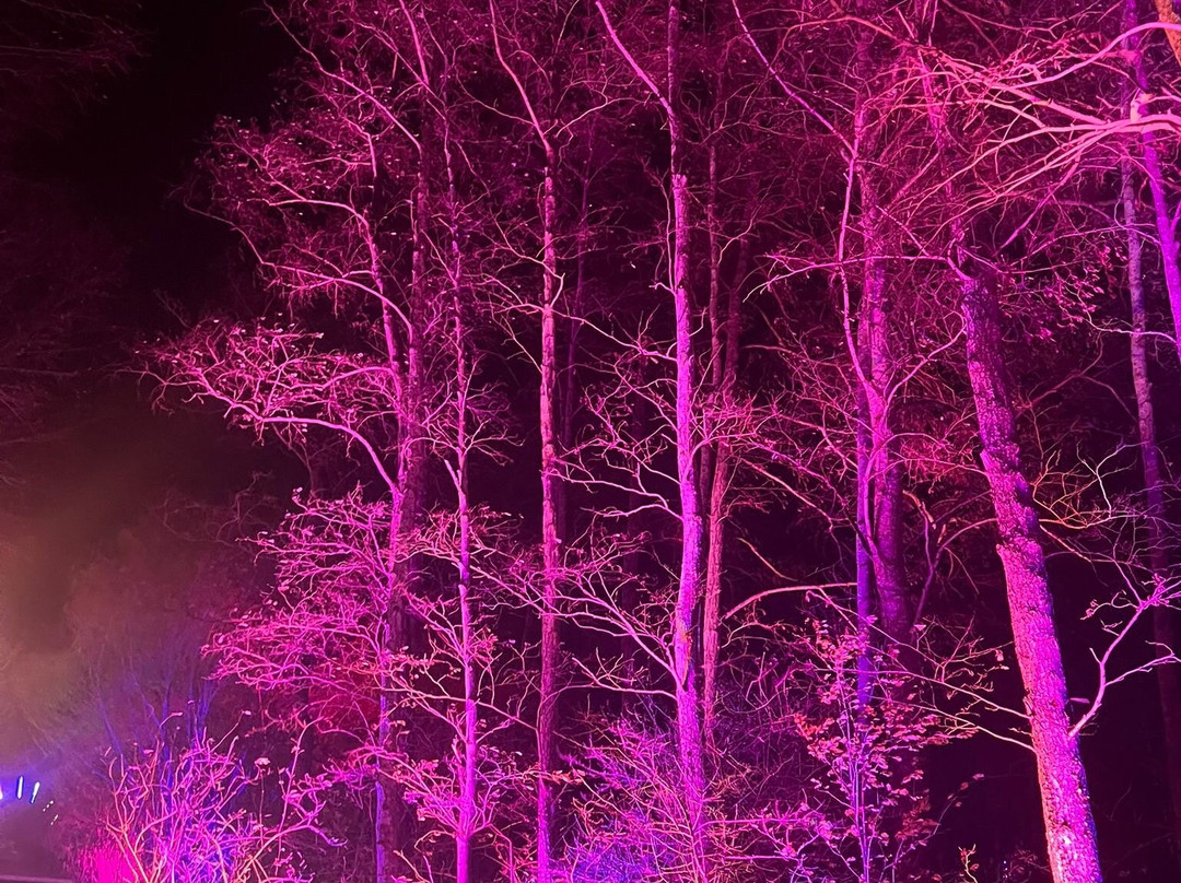 Millets Farm Centre-弗里福德希斯必去景点