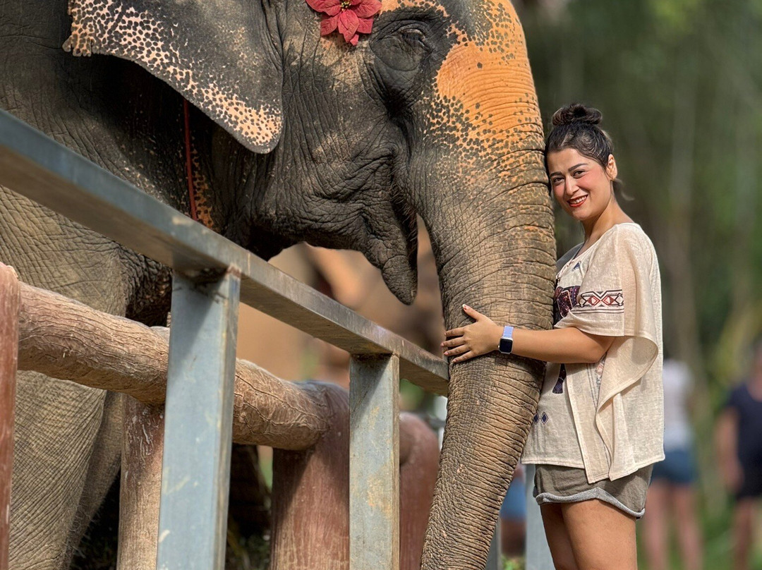 Phuket Elephant Care-奈通必去景点