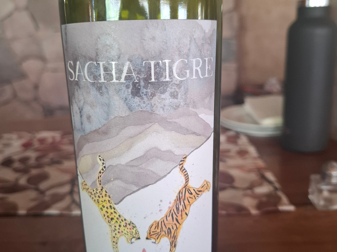 Bodega Kindgard-普尔马马尔卡必去景点