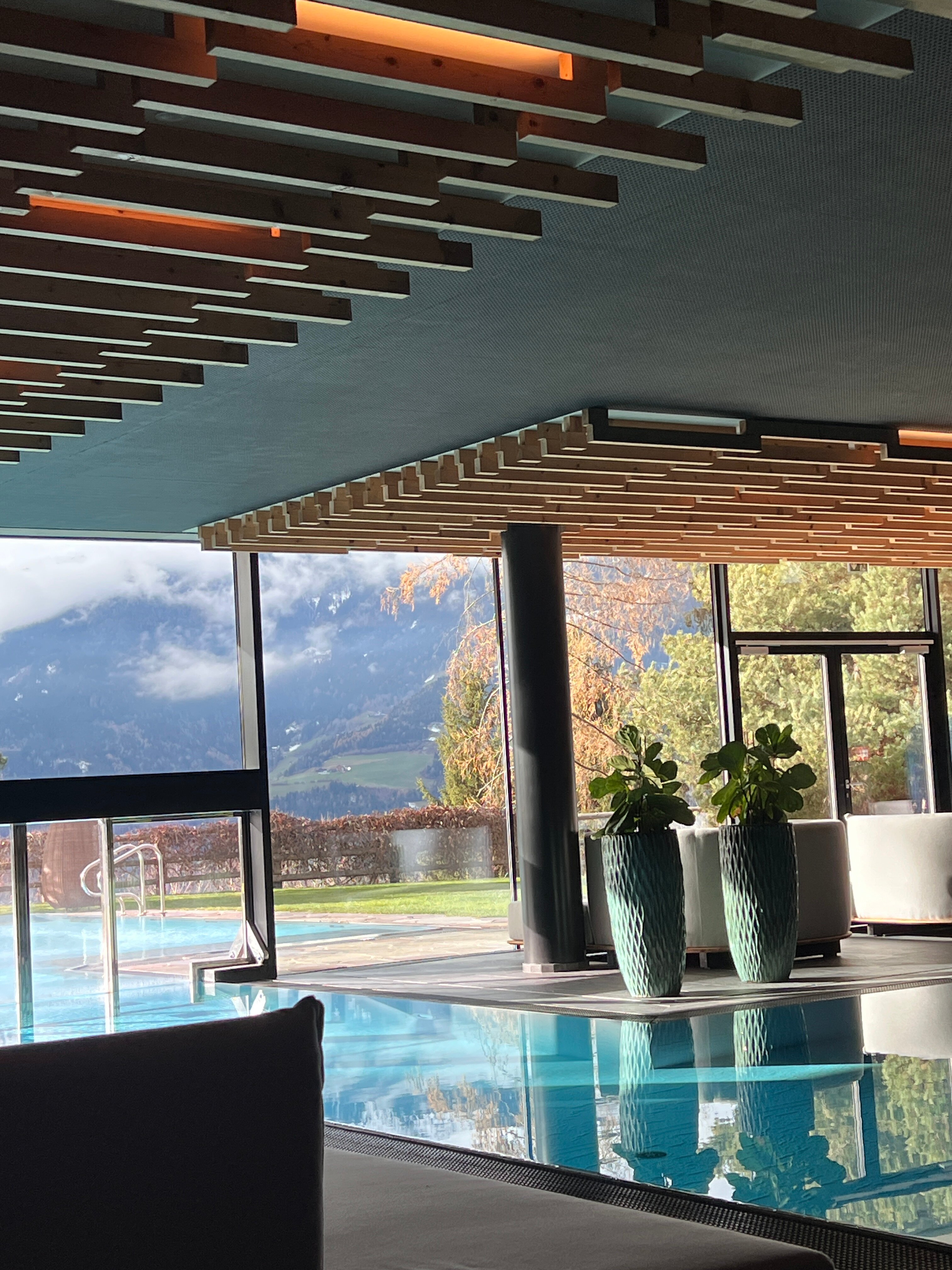 My Arbor - Dolomites-泳池