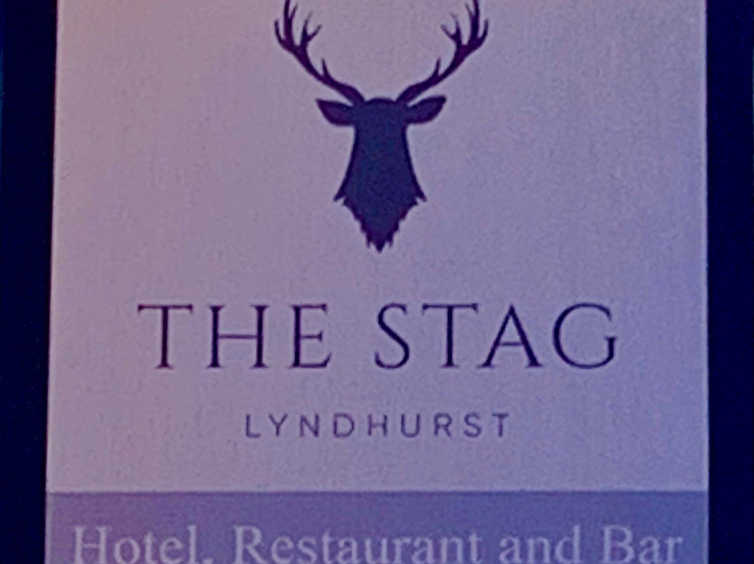 新森林国家公园-林德赫斯特必去景点