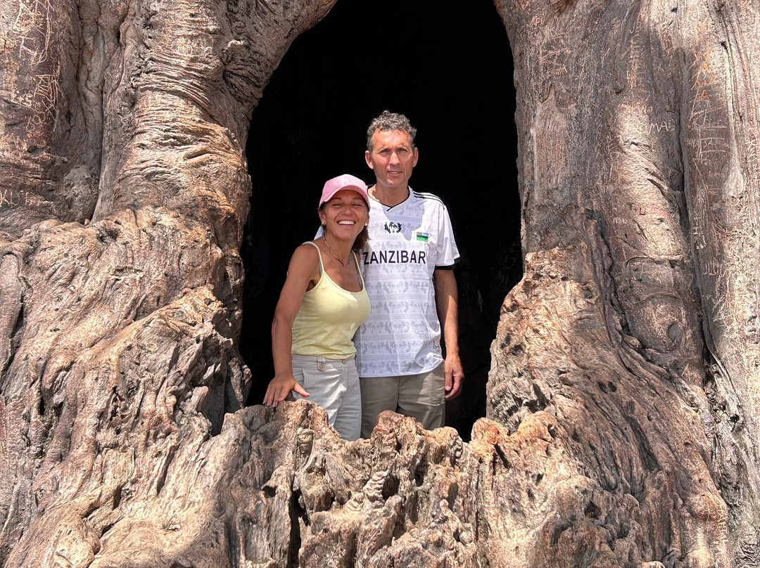 Safari Avventura-阿鲁沙必去景点