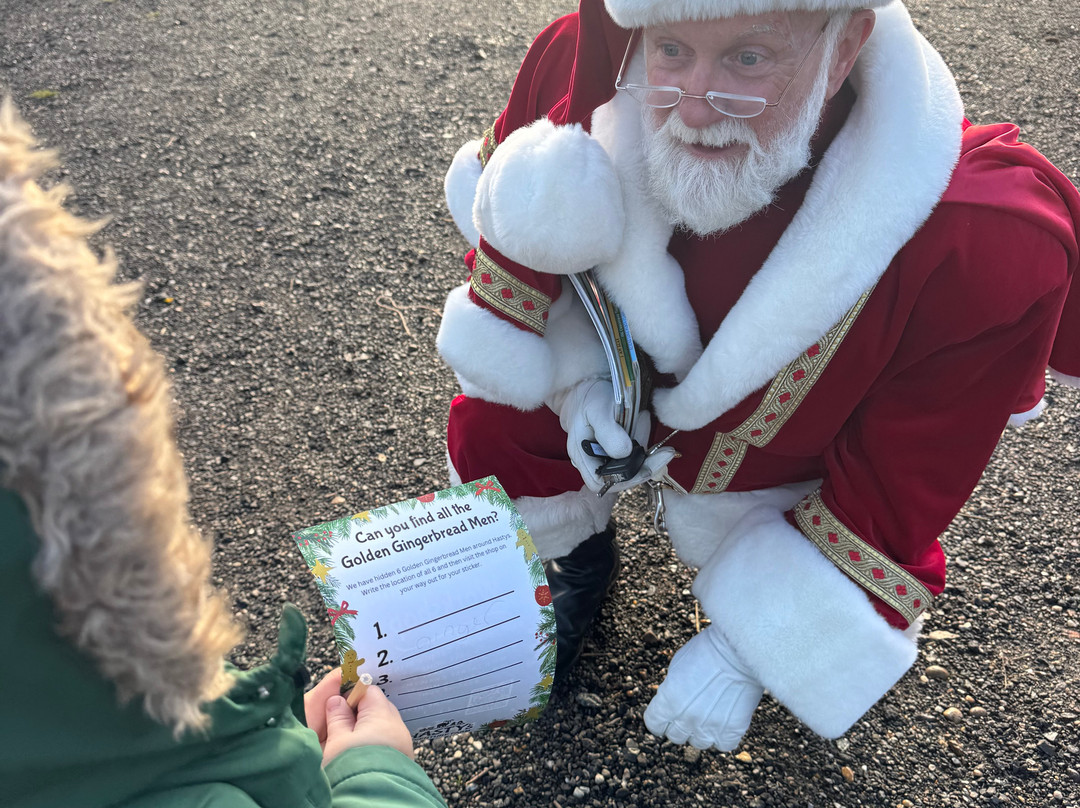 Hasty's Adventure Farm-滨海克拉克顿必去景点