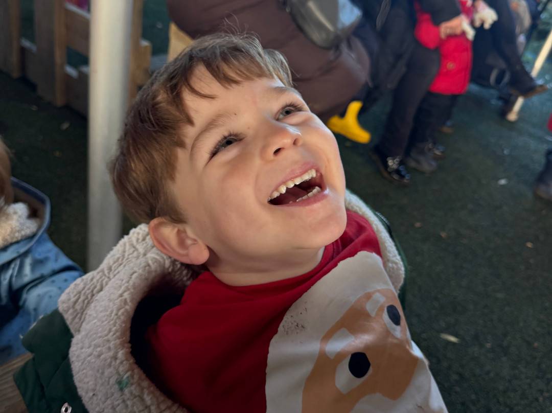 Hasty's Adventure Farm-滨海克拉克顿必去景点