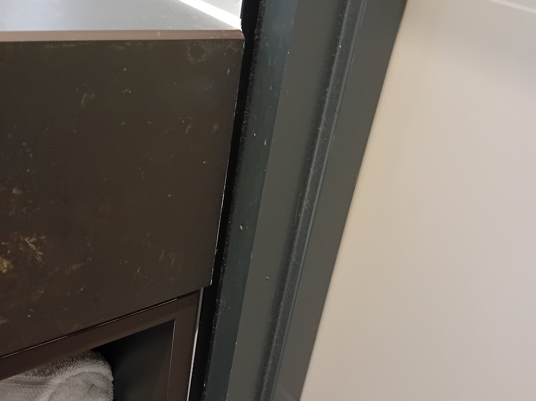 Tynecastle Park Hotel主图