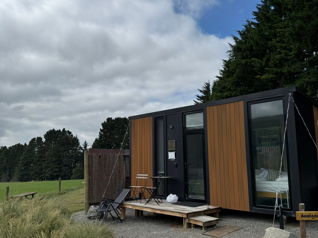 Bauchops Hill Station Farm Tour