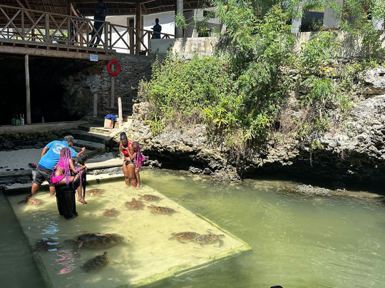 Zanzibar Destination-石头城必去景点