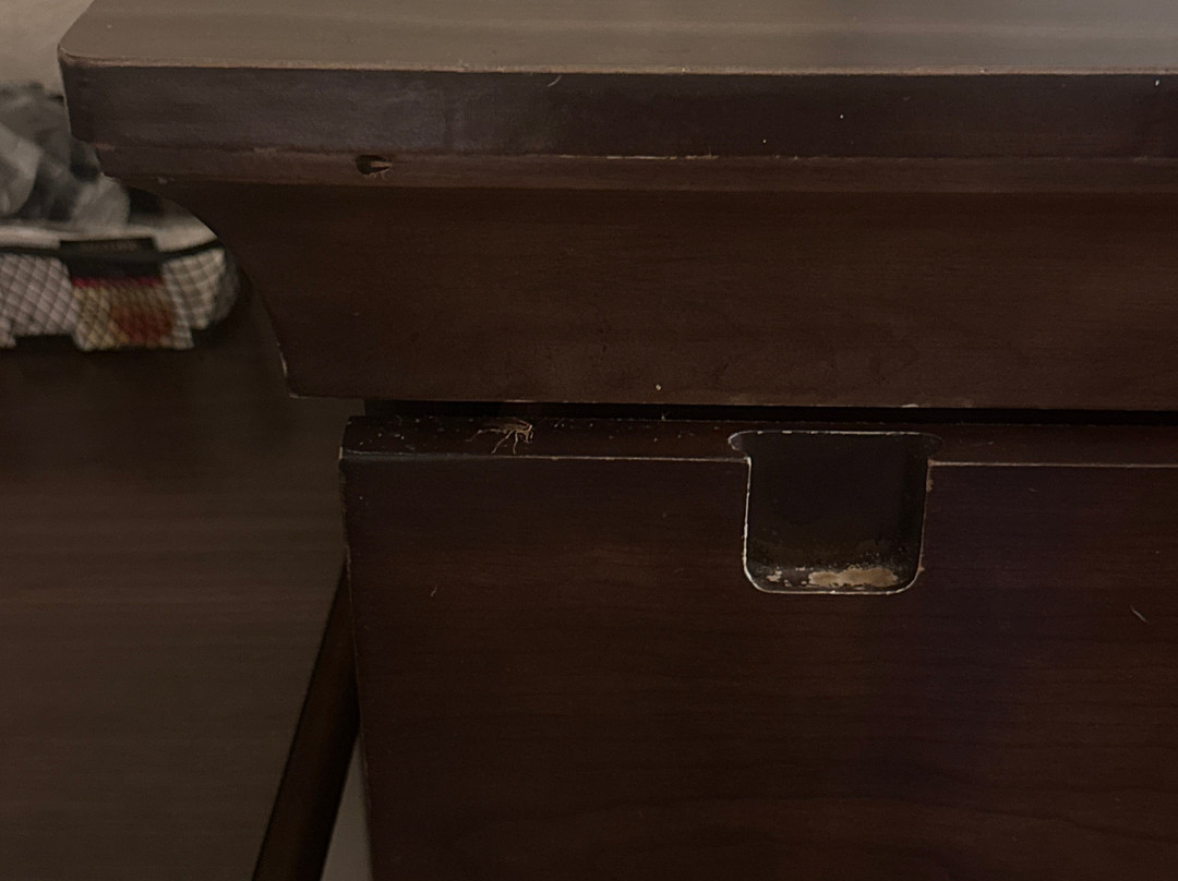 Quality Inn & Suites Statesboro主图