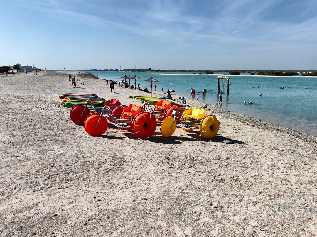 Sir Bani Yas Cruise Beach-萨巴尼亚岛必去景点