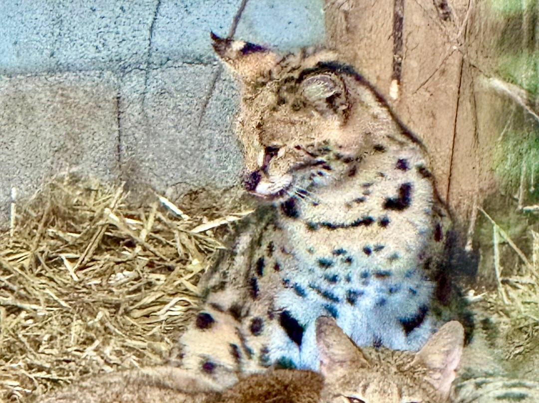 Sikypark-Cremines必去景点