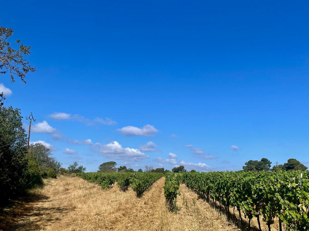 Domaine la Mijane-Villemoustaussou必去景点