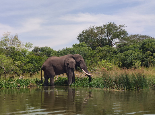 Galactic Safaris-卡巴莱必去景点