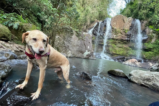 Cascata da Grota-Rolante必去景点