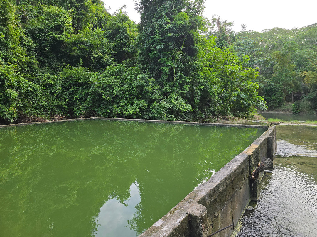 Shanay Timpishka-Pucallpa必去景点