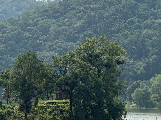Rupa Lake-博卡拉必去景点