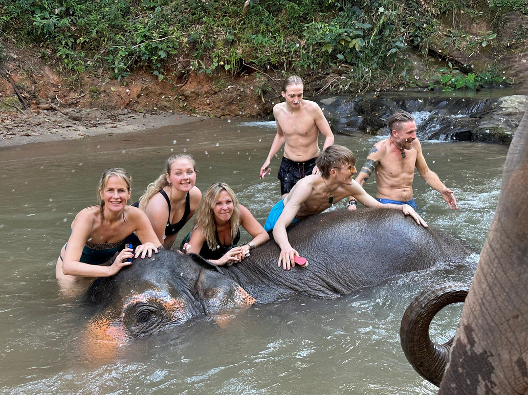 Elephant Freedom Village