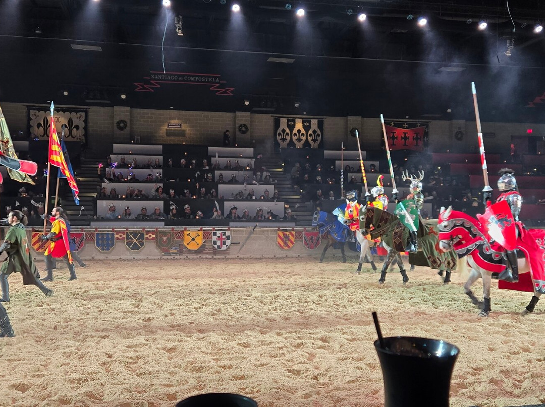 Medieval Times-绍姆堡必去景点