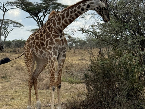 Buhaya Trekking Safaris-阿鲁沙必去景点