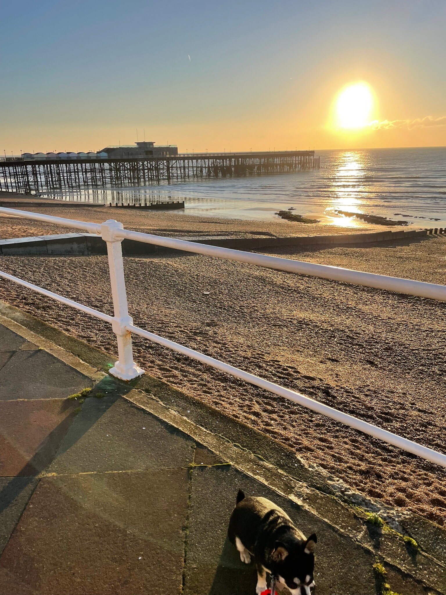 The White Rock Hotel-官方