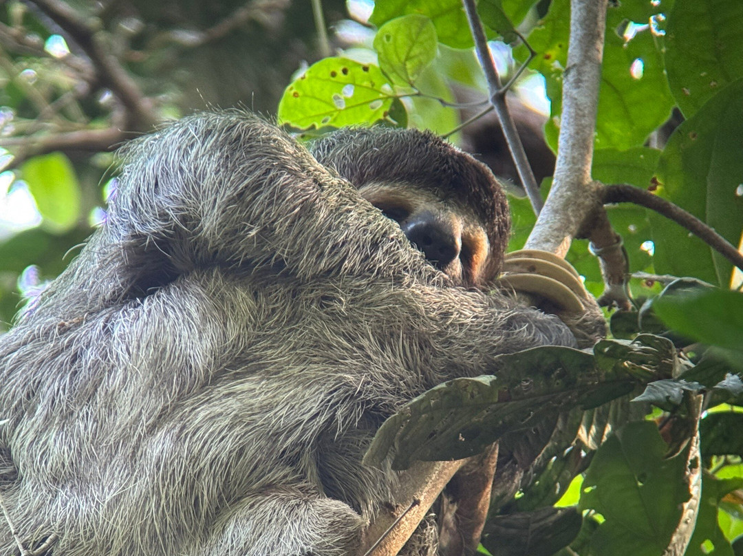 COSTA RICA TRAVELLING TOURS-圣何塞必去景点