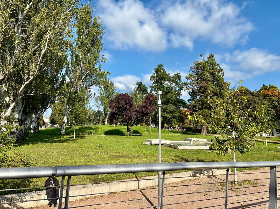 Rhein Park-莱茵河畔魏尔必去景点