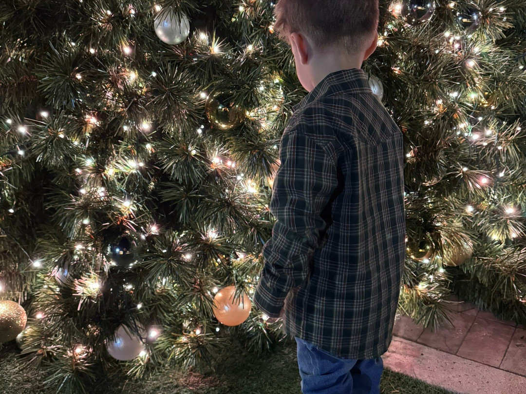 阿维亚拉公园凯悦酒店主图