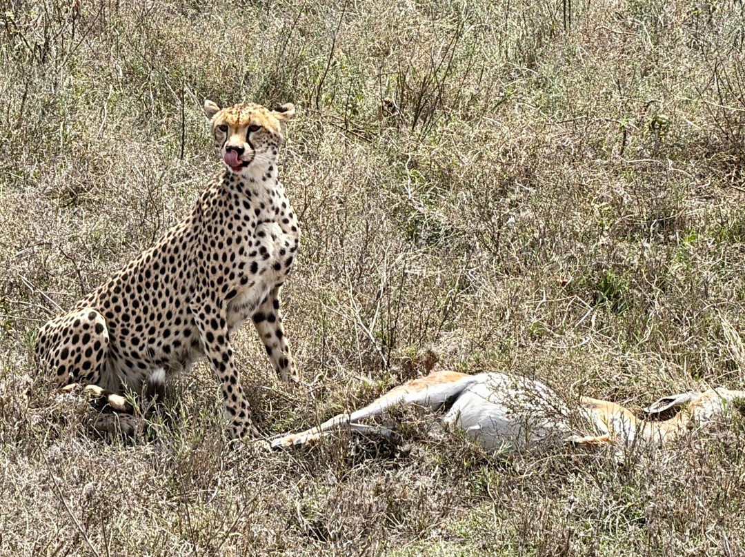 Meru Slopes Tours & Safaris-阿鲁沙必去景点