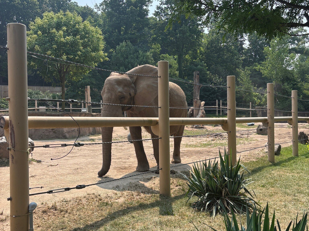 Seneca Park Zoo-罗切斯特必去景点