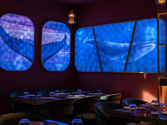 Haruki Sushi and Sake Viseu主图