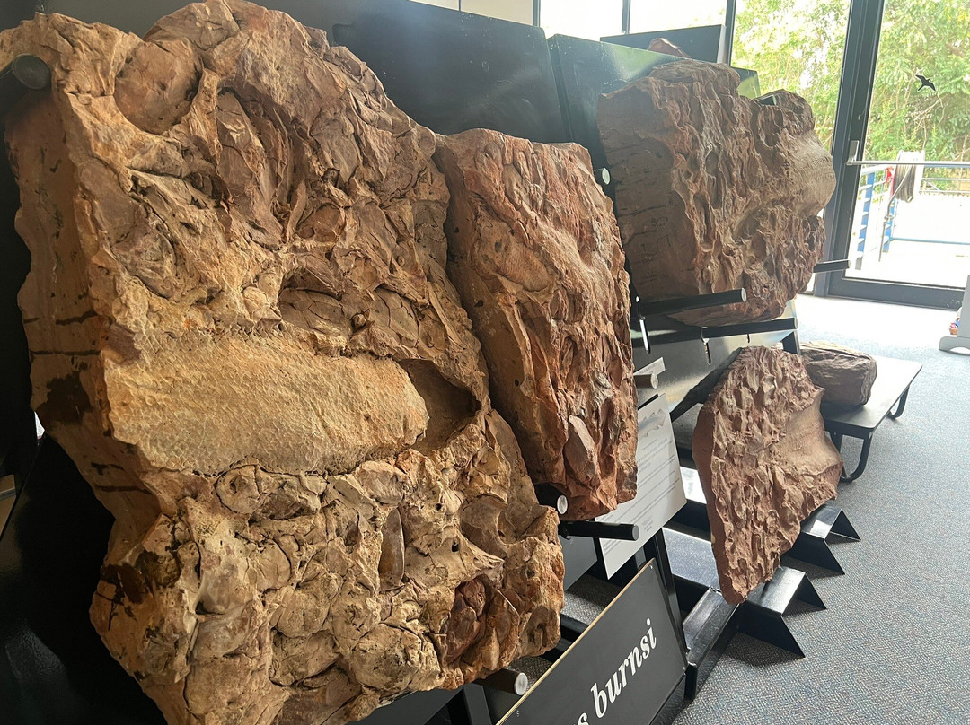 The Age of Fishes Museum-Canowindra必去景点