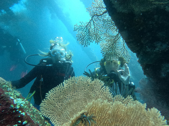 Ocean Gravity Dive Center Bali-沙努尔必去景点