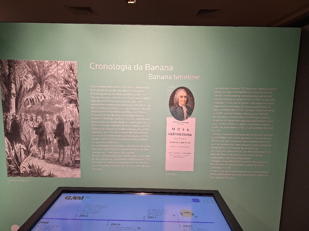 BAM - Centro Da Banana Da Madeira-Ponta Do Sol必去景点