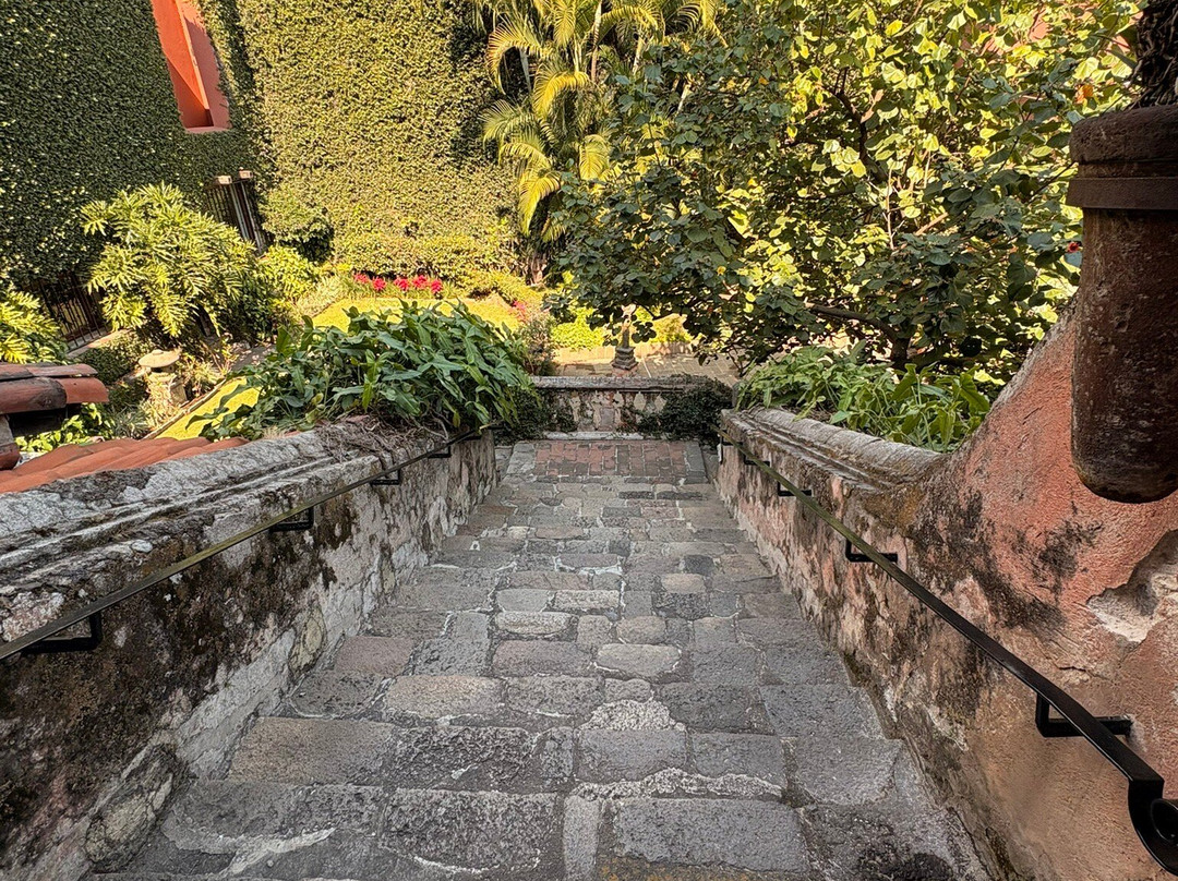 Robert Brady Museo-奎尔纳瓦卡必去景点