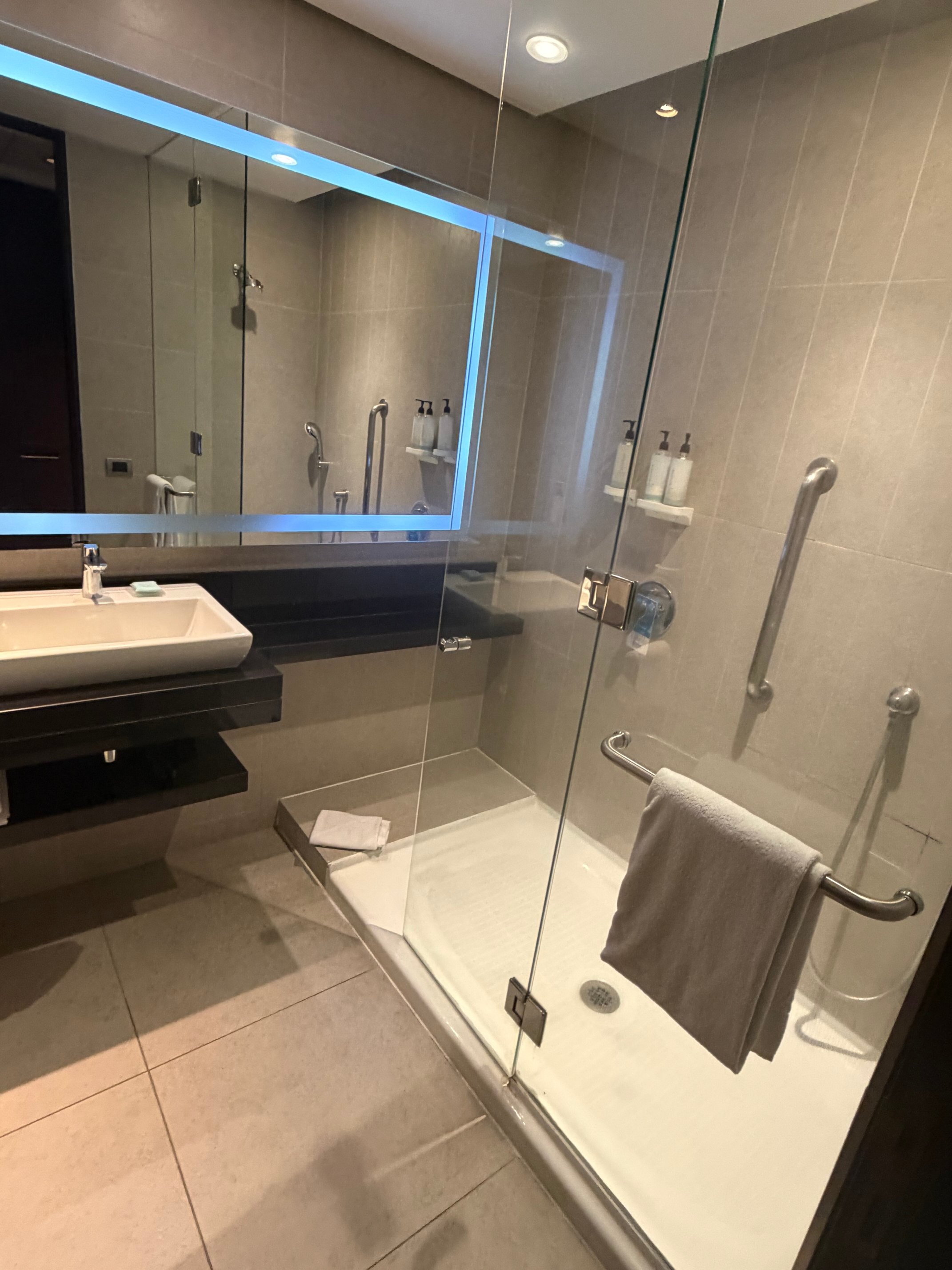 圣地亚哥机场希尔顿花园酒店-浴室