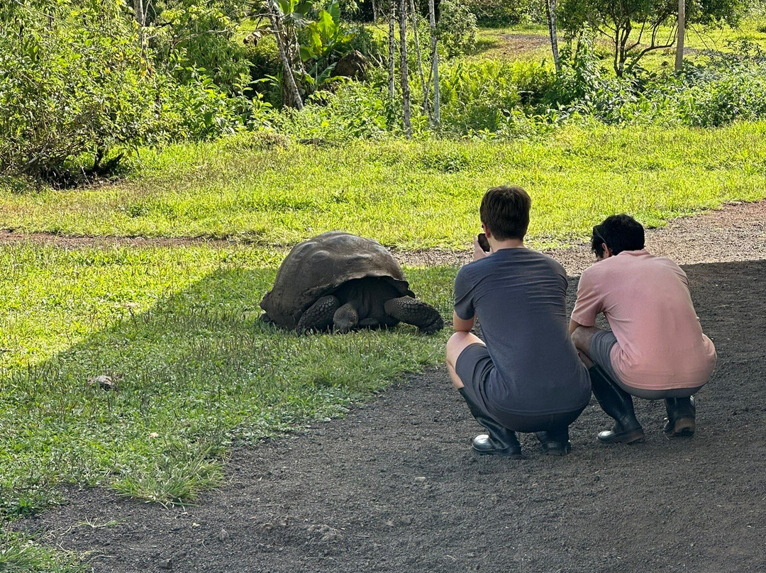 Galapagos Path-阿约拉港必去景点