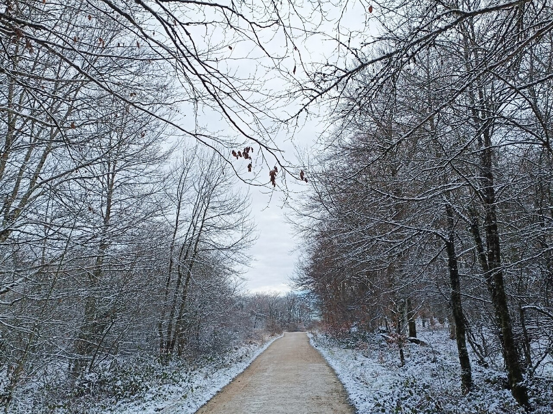 Salto del Nervion-Delika必去景点