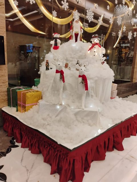 丽笙布鲁酒店，那格浦尔-浴室