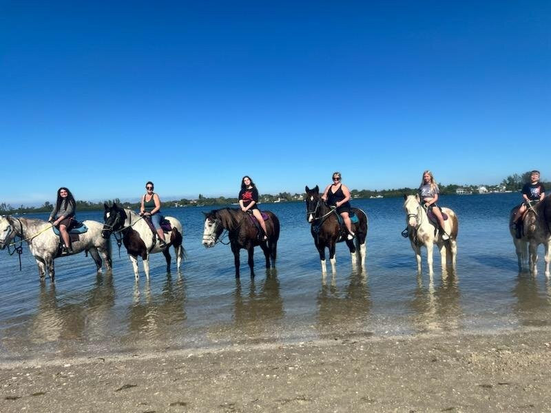 Florida Beach Horses-布雷登顿必去景点