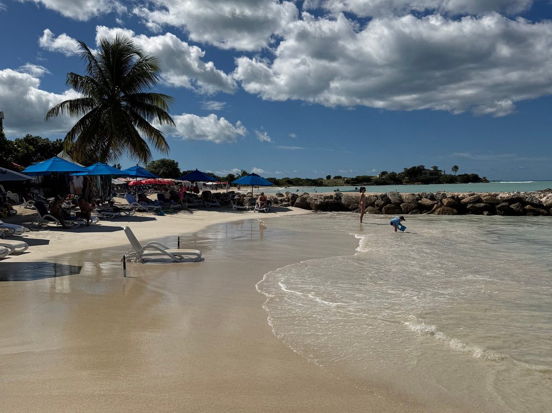 Carter's Guest House主图