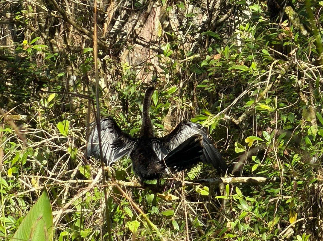 螺旋沼泽鸟兽禁猎区-那不勒斯必去景点