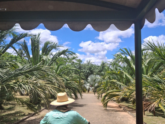 Usina de Arte-Agua Preta必去景点