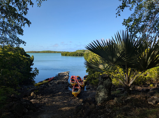 Sea Kayak Adventures-毛里求斯必去景点