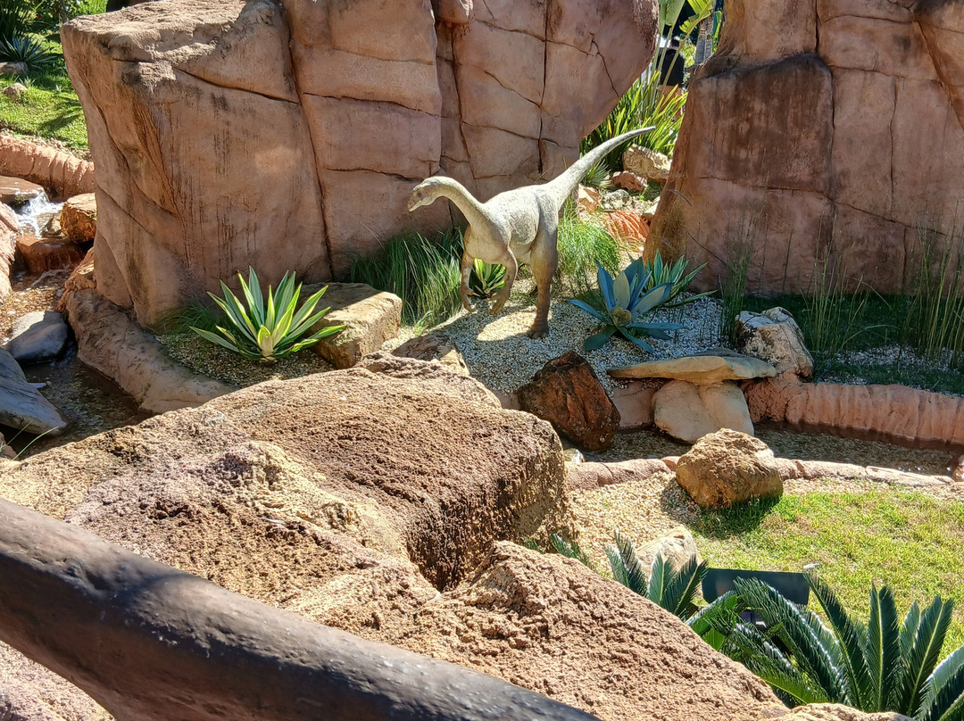 Aventura Jurássica-康泊琉海水浴场必去景点