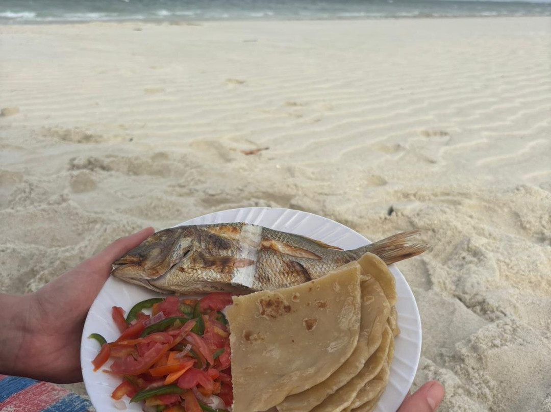 Mafia Whale Shark Tours-Kilindoni必去景点