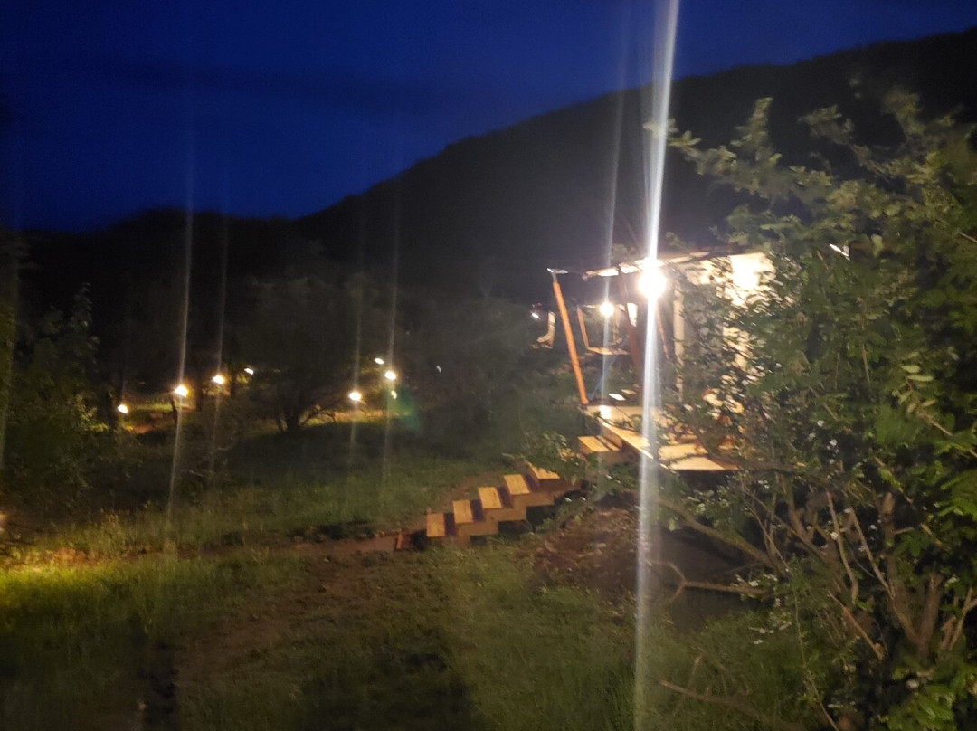 Mbuni Tented Camps-Seronera必去景点