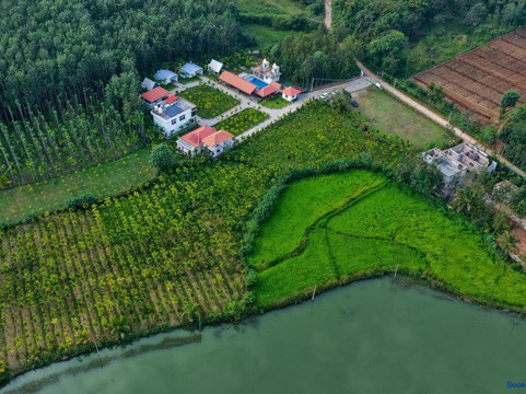 RG The Grand Haven Resort