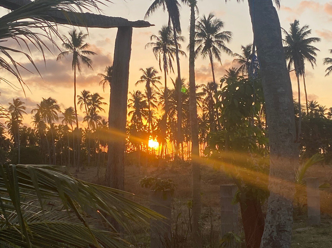 EcoParque Guaraíras-Senador Georgino Avelino必去景点