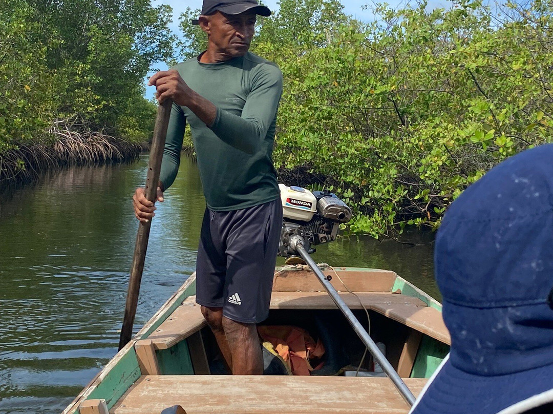 EcoParque Guaraíras-Senador Georgino Avelino必去景点
